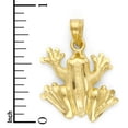 thumbnail image 3 of 14k Gold Tree Frog Pendant, Tropical Jewelry, Spirit Animal Gifts for Her with 18 inch Chain, 3 of 5