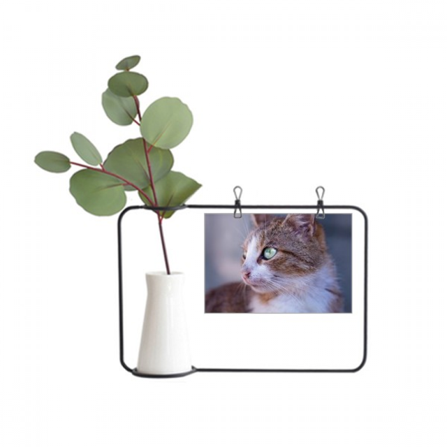 Brown Cat animal salvaje mirada de perfil Marco De Metal Florero De Cerámica Decoración