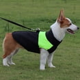 thumbnail image 3 of Chaqueta grande para perros pequeños Greeniant acolchada cortavientos cálido verde METRO, 3 of 6