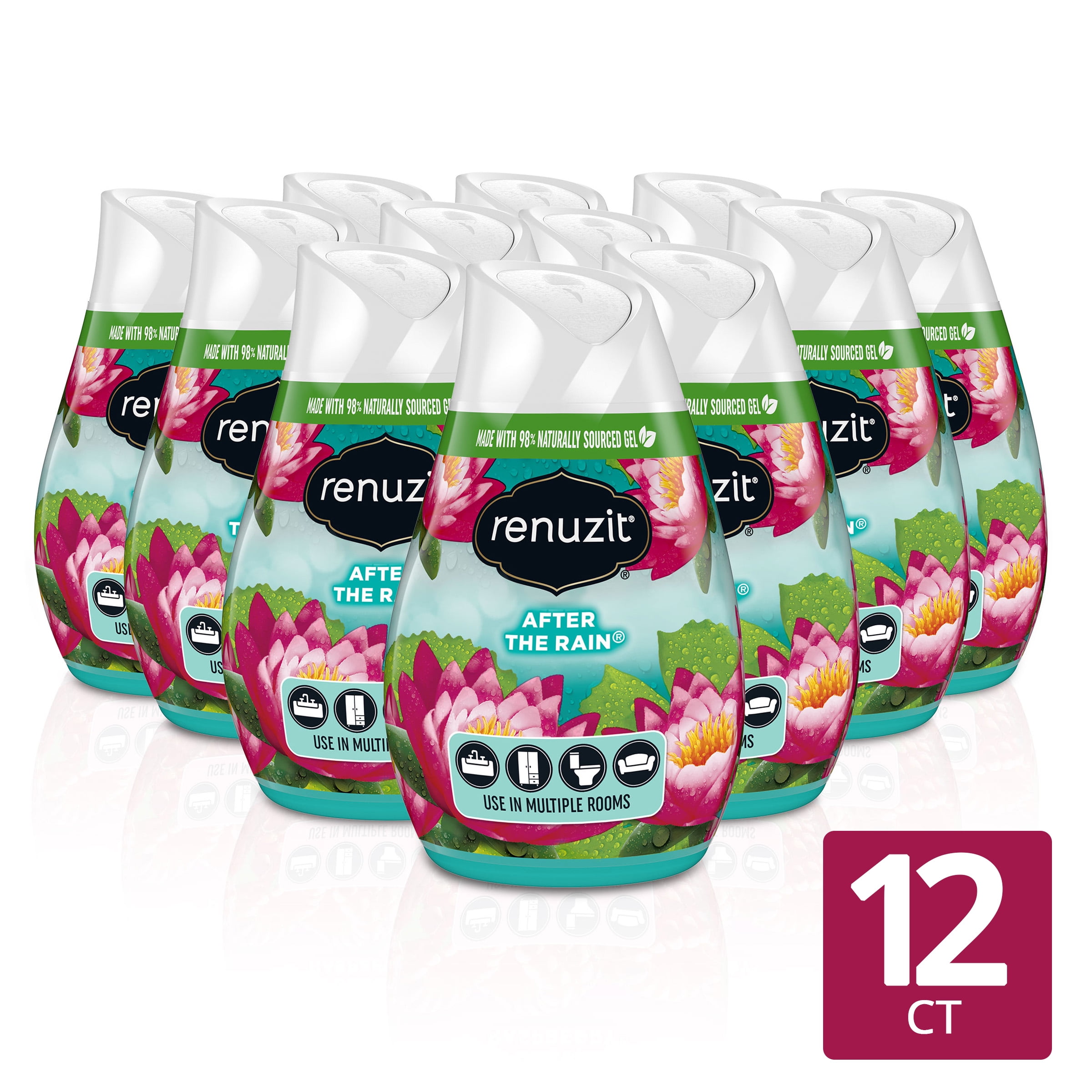 Renuzit Gel Air Freshener Cone, After the Rain, 12 Count