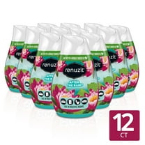 Renuzit Gel Air Freshener Cone, After the Rain, 12 Count