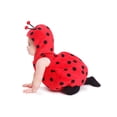 thumbnail image 3 of Disfraz de mariquita para bebé Dress Up America para niños pequeños, 3 of 4