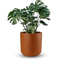 thumbnail image 2 of Maceta Cilindro Barro Loza 20.32 cm ocre Elly Decor terracottacl, 2 of 7