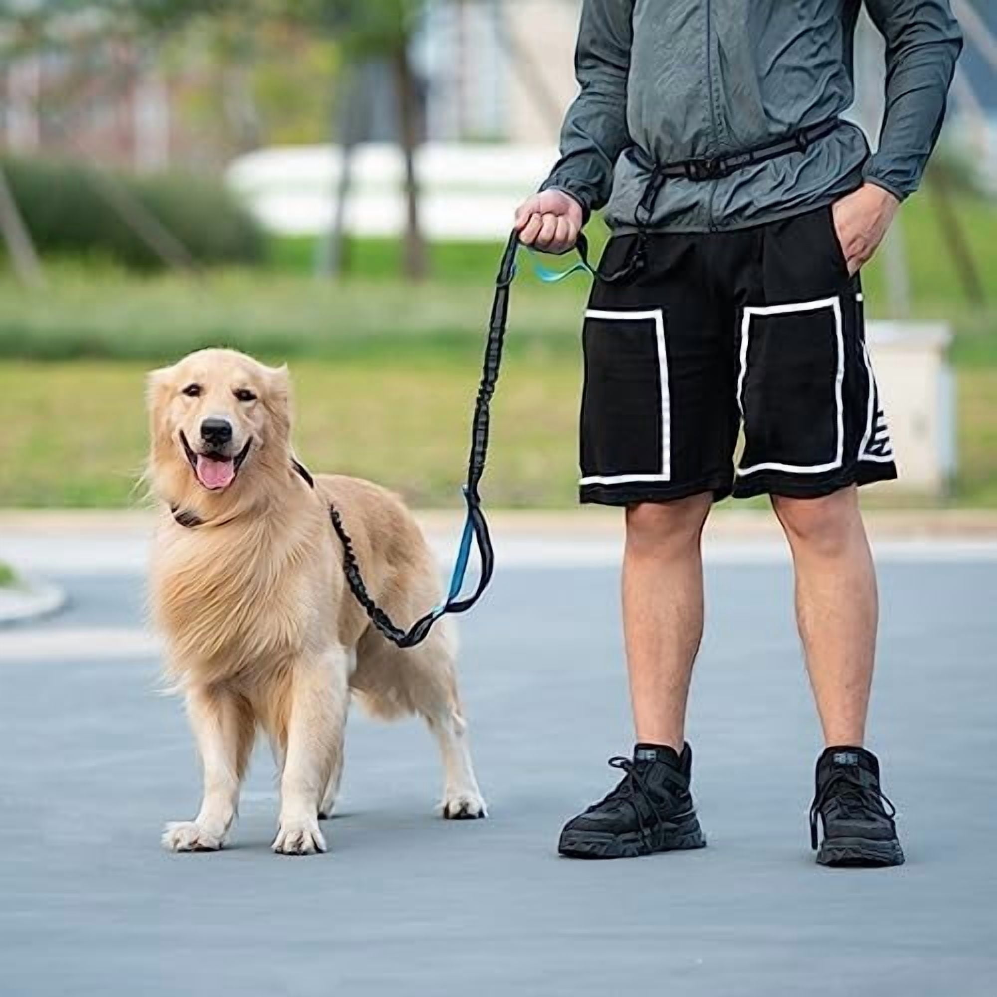 Hands Free Dog Leash with Zipper Pouch, Dual Padded Handles and Durable Bungee for Walking, Jogging and Running Your Dog (Large, 25-120 lbs, Emerald)