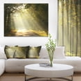 thumbnail image 1 of Bright Sunbeams to Fall Forest, 1 of 3