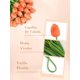 thumbnail image 2 of Flores Artificiales de Tulipán, Tulipanes Artificiales, Tulipanes Táctiles Decoración para Fiesta, Boda, Hogar, Evento, Centros de Mesa, Ramo, 2 of 4