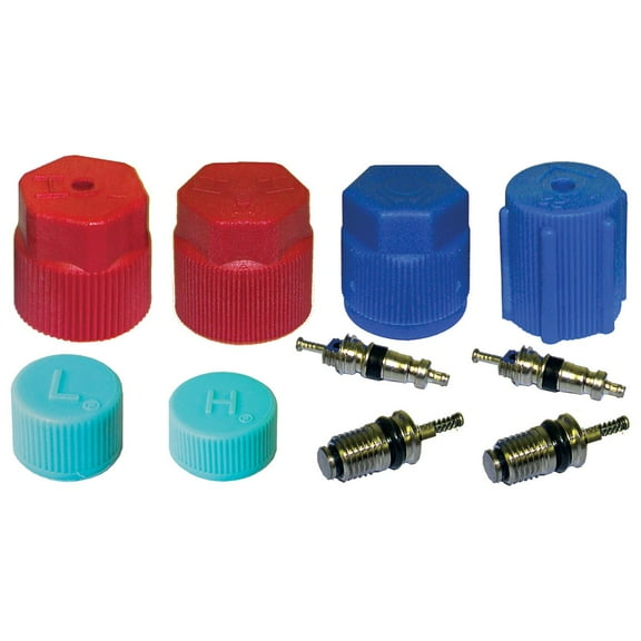 A/C SERVICE CAP AND VALVE KIT;MT2909