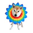 thumbnail image 1 of Disfraz para perro CheetahBoo con flores y arcoíris con cuello tipo bandana, XS-XXL, 1 of 2