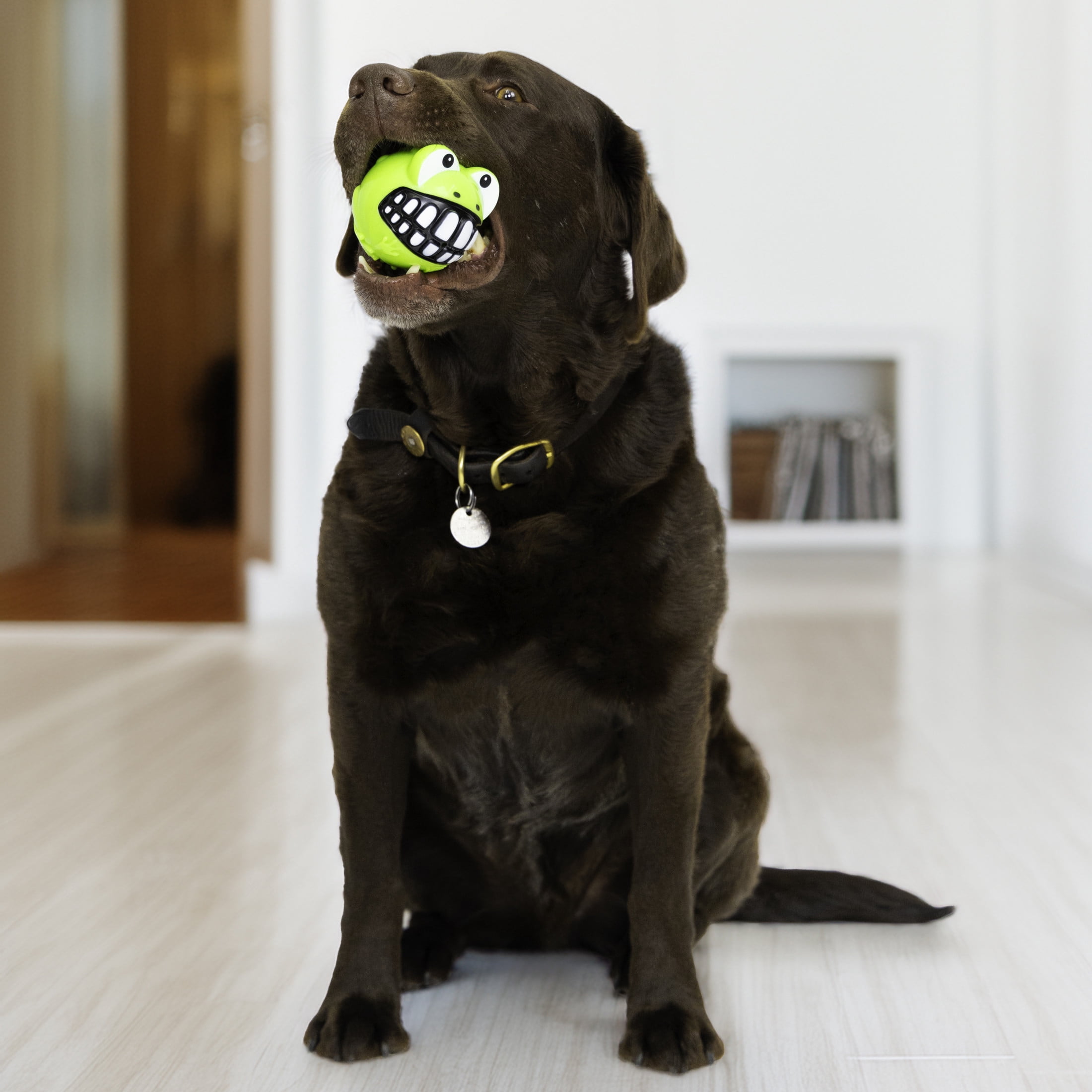 KONG® Grinz Frog Squeaker Ball Dog Toy, Large