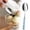 C, variant on Ceramic Handle 304 Stainless Steel Fork, Elegant Heat-Resistant Kitchen Utensil for Daily Meals & Parties(B)