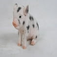 thumbnail image 4 of Hi-Line Gift Ltd Sitting Baby Pig with Black Spots, 6", 4 of 11