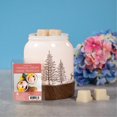 thumbnail image 4 of ScentSationals, Cubes de cire parfumés, Crème Tropicale, 4 of 4
