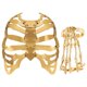 thumbnail image 2 of Accesorios para disfraces de Halloween, accesorios espeluznantes, fiesta, disfraces, terror, peto, 2 of 10