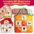thumbnail image 4 of QUOKKA Life Cycle Kit Toy Montessori - 30 Flash Cards Toddler Science Activities for Kids Ages 2-4, 4 of 7