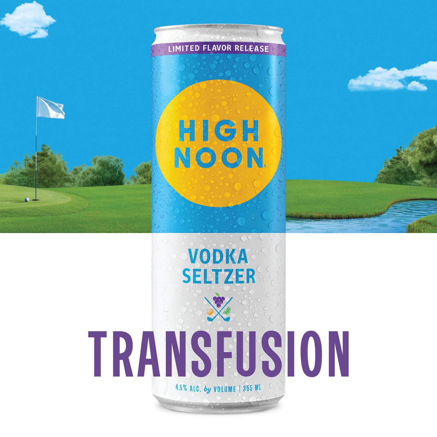 High Noon Vodka Seltzer Grape Transfusion, 6 pack, 12 fl oz Cans, 4.5% ABV