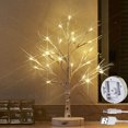 thumbnail image 1 of FrostHike Lighted Birch Tree with Timer Battery Operated or USB Plug-in 18IN 24 LED Twig Tree Lights for Wedding Party Christmas Decoration, 1 of 5