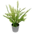 thumbnail image 5 of 1 pieza de adorno de planta de helecho de simulación creativa decoración de bonsái en maceta fresca, 5 of 5