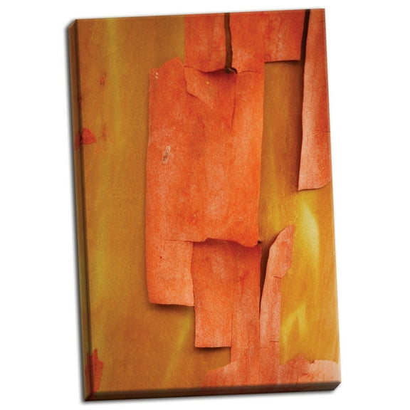 Gango Home Decor Madrone Mozaic II by Vitaly Geyman (Ready to Hang); One 24x36in Hand-Stretched Canvas