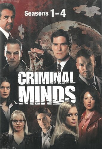 Paramount, DVD, Season 10, 24 Episodes, Crime Drama - Walmart.com