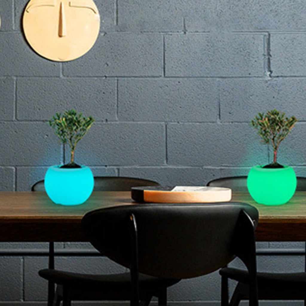 MOMOJIA Color Changing LED Planter Pot For Succulents Indoor Gardening Home Decoration