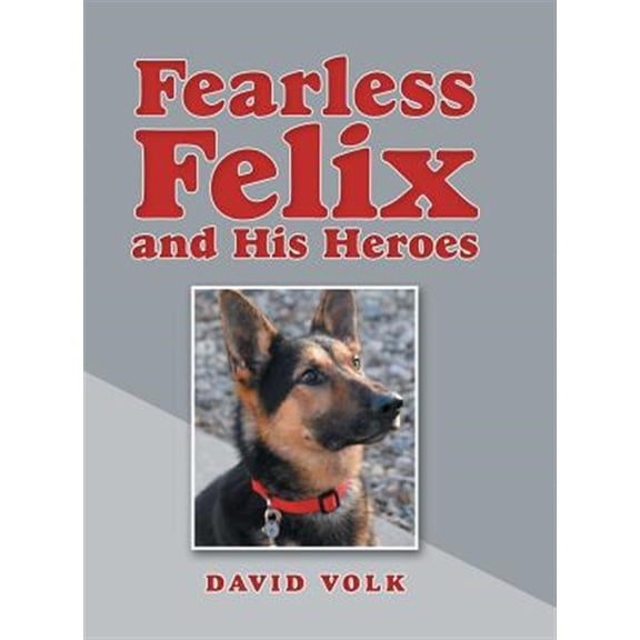Pre-Owned Fearless Felix and His Heroes (Hardcover)