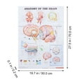 thumbnail image 2 of Human Anatomy Poster Brain Anatomy Poster Science Chart Printed Poster, 2 of 9
