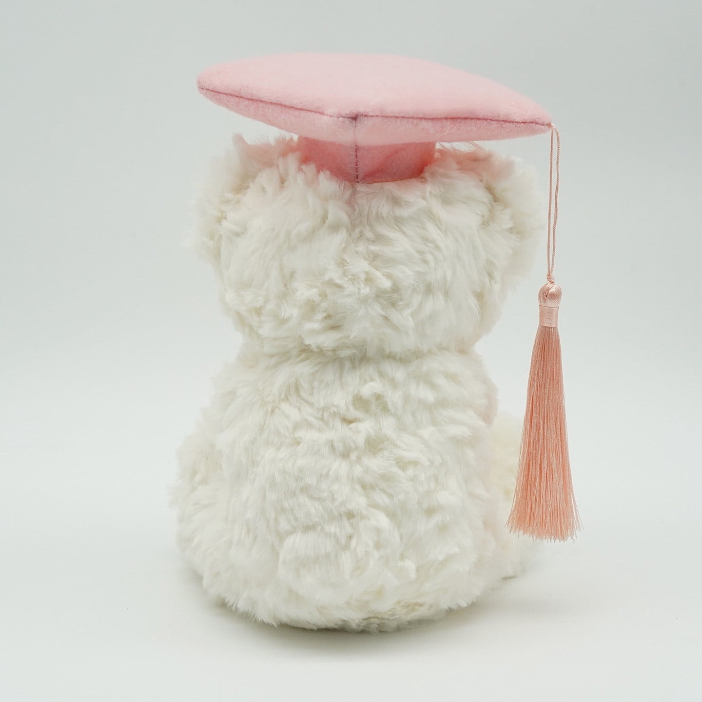 Aurorax Graduation Bear Graduation Plush Soft Stuffed You Did It Doctoral Cap 2026 Graduation Party Decorations