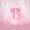 Pink B, variant on meiyoeat Pink Bow Initial Letter D Twin Duvet Cover For Girls,Dreamy Princess Style Twin Bedding For Kids,Pink Reversible,2pcs(No Comforter)