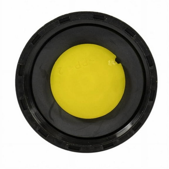 Motorcraft CAP-FILLER (P)