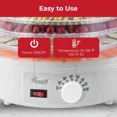 thumbnail image 2 of Rosewill Food Dehydrator Machine, 5 BPA-Free 12.6" Trays, Adjustable Temperature Controls | 95-158°F | 350W, Jerky, Herbs, Fruit, Veggies, Dried Snacks, 2 of 8