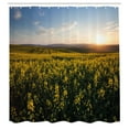 thumbnail image 3 of Ambesonne Landscape Shower Curtain, Sunset Flower Field, 69"Wx84"L, Yellow Green Blue, 3 of 5