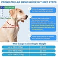 thumbnail image 4 of Collar de adiestramiento para perros con marca de comodidad y hebilla de estrangulamiento para perros de liberación rápida, para perros pequeños y medianos, pequeño, 2,5 mm, 13,78 pulgadas JM, 4 of 5