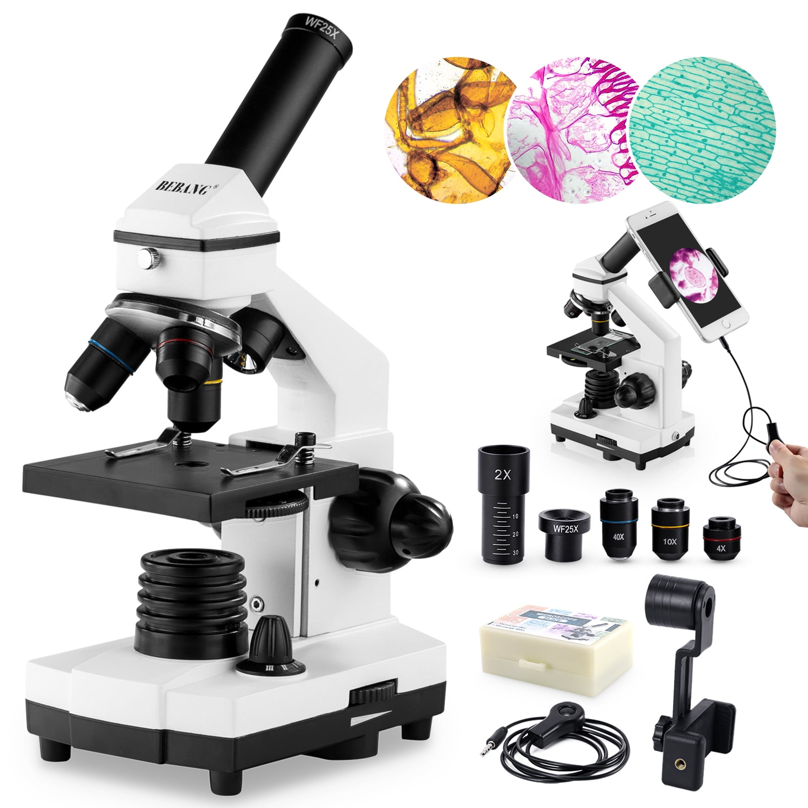 Upgrade Microscope for Kids Students and Adult 40X-1000X Powerful Biological Childrens Microscope Set for School Laboratory Home Biological Scientific Research Education 