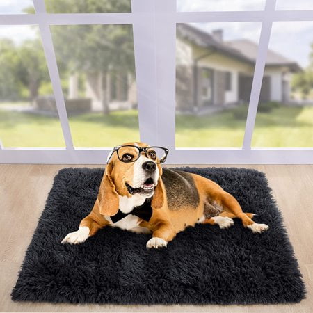 Lochas Soft Fluffy Area Rug Modern Shaggy Rugs for Bedroom Kids Room Nursery Floor Carpets, 2'x 3',Black