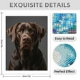 thumbnail image 3 of Diamond Art Kit for Adults, Chocolate Labrador Portrait Diamond Painting for Adults Beginners, DIY Diamond Art Painting Kits, 5D Diamond Painting Crafts for Home Decor 12x16 Frameless, 3 of 7