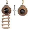 thumbnail image 2 of Natural Coconut Shell Gecko Nest House Reptile Hideouts Bed Cage Toy With Ladder Hanging Loop For Lizards Chameleon Gecko Snakes Small Animal 2 Pcs, 2 of 5