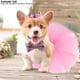 thumbnail image 4 of Perro Ratas, 4 of 5