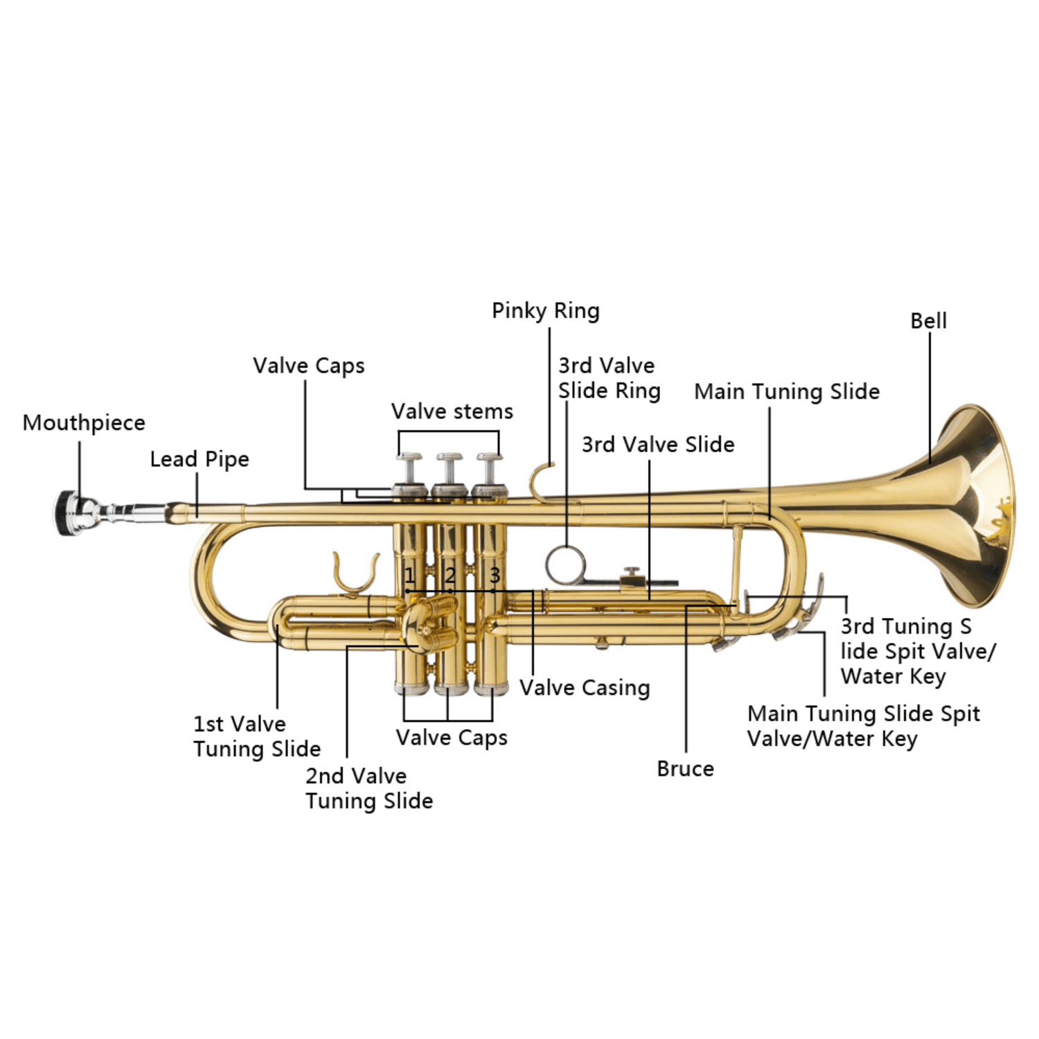Hassch Brass B Flat Trumpet with Mouthpiece, Gloves and Portable Case, Trumpet for Beginners, Golden