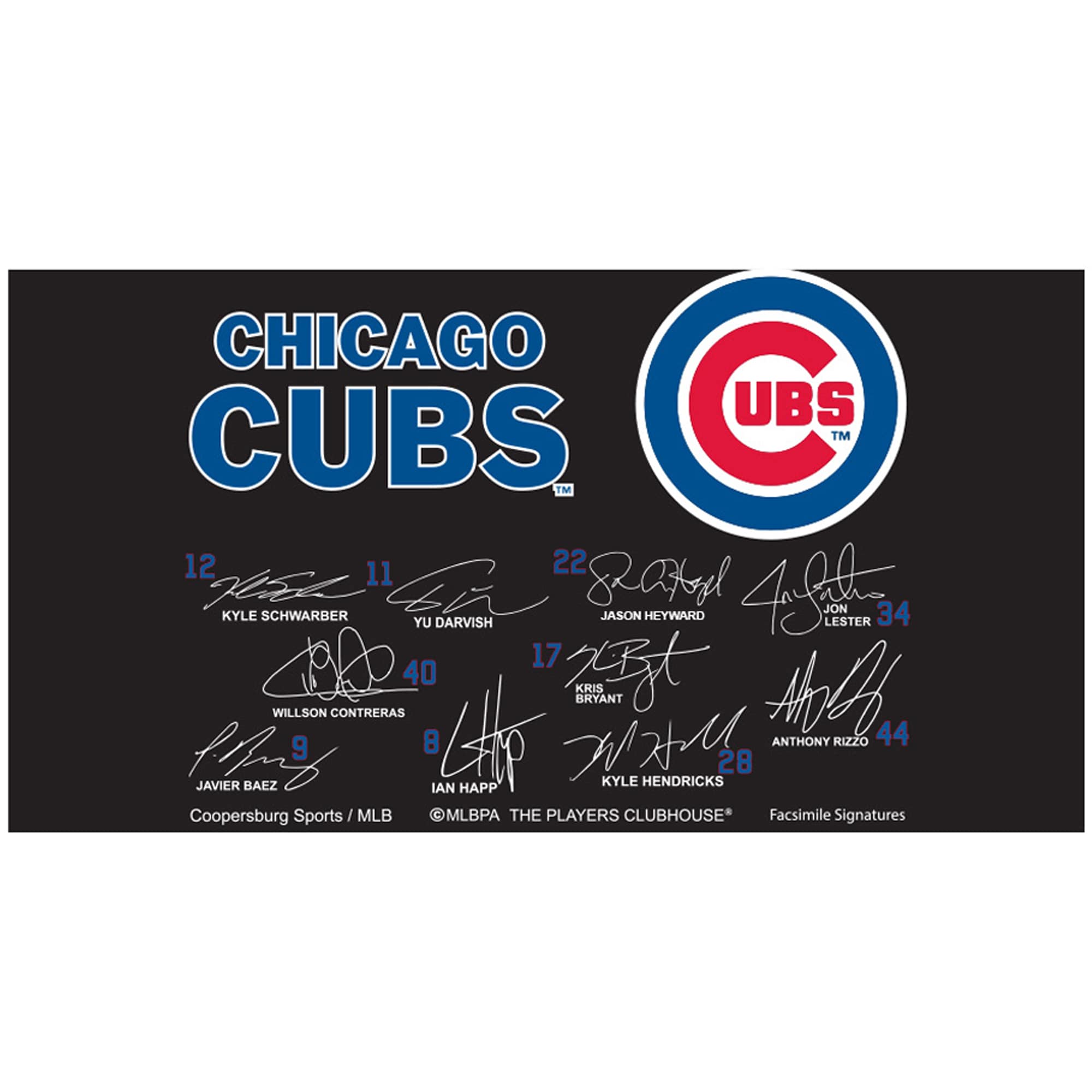 Chicago Cubs 34'' Signature Hardwood Bat