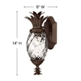 thumbnail image 6 of Hinkley Lighting - Plantation - 1 Light Extra Small Outdoor Wall Lantern in, 6 of 7