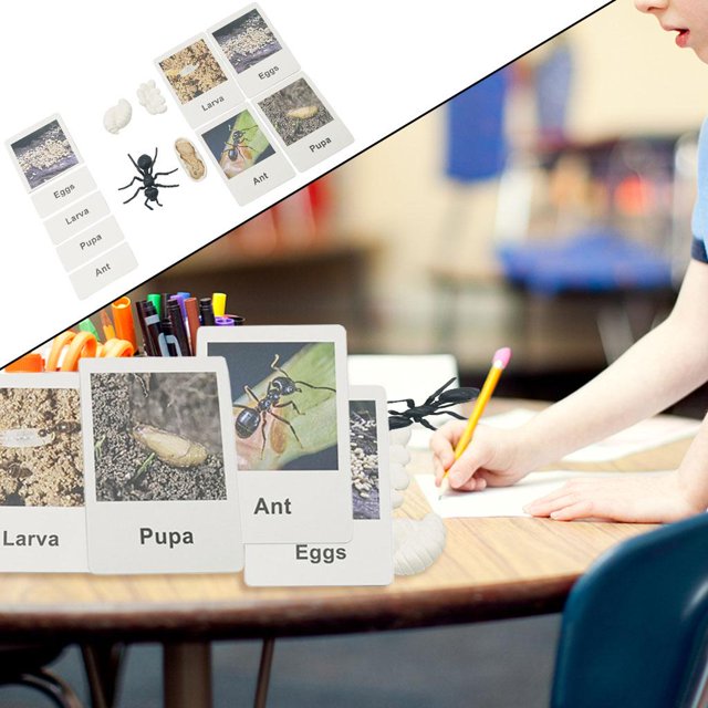 de de de crecimiento animal pintado Prejuguetes educativos tempranos para niños ,