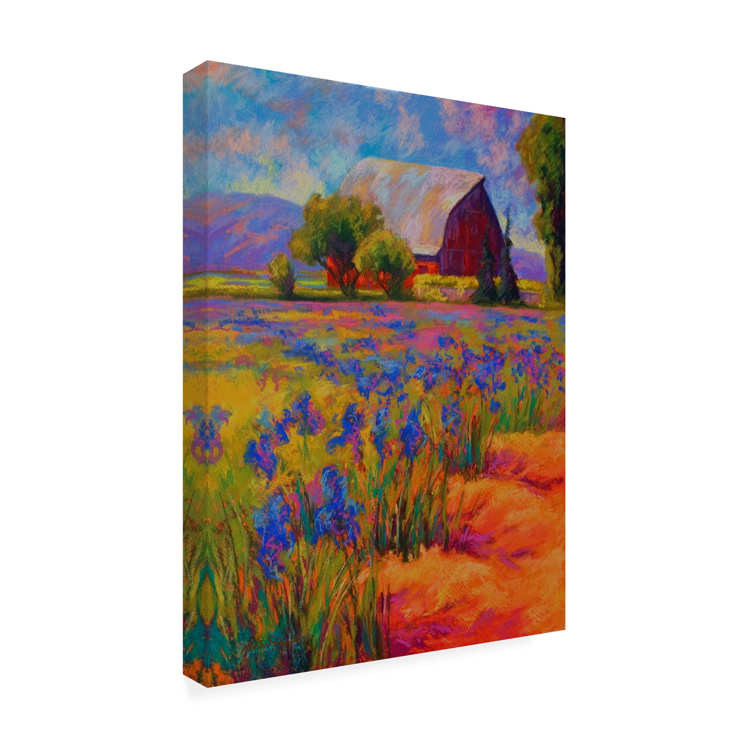 Marion Rose 'Iris Field 2' Outdoor Canvas 24x18