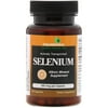 Futurebiotics Selenium 200mcg-Albion Chelation 100 Capsule