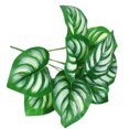 thumbnail image 1 of Artificial Plant Realistic 9-head: Lifelike Fake Tropical Plant Home Decoration, 1 of 10