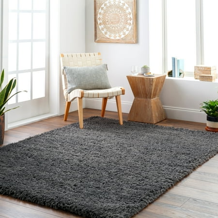 Artistic Weavers Black 5  x 8  Rectangle Area Rug