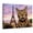 A, variant on XaaKee Canvas Art Prints Bengal Cat Photorealistic Mural Majestic Background Inner Framed 18*12Inch