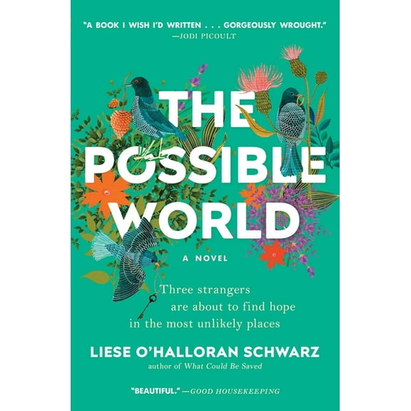The Possible World : A Novel (Paperback)