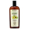 Fantasia Avocado & Cilantro Moisturizing Daily Shampoo with Keratin, 12 fl oz