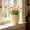 #310-Beige, variant on Cheapark Round Flower Pot Rattan Look Planter Small Size Plastic Pot for Home Decor Succulent Greenery Plant Container Gift