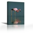 thumbnail image 1 of Andean Flamingo wading, Laguna Blanca, southwestern Bolivia - Contemporary Fine Art Giclee on Canvas Gallery Wrap - wall décor - Art painting - 24 x 36 Inch - Ready to Hang, 1 of 2